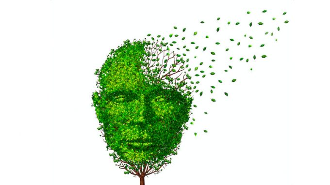 Invecchiamento cerebrale, Disturbo da Stress Post Traumatico e gene Klotho