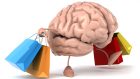 Economia e Neuroscienze, un connubio perfetto