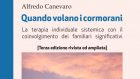 Quando volano i cormorani (2020) di Alfredo Canevaro – Recensione del libro