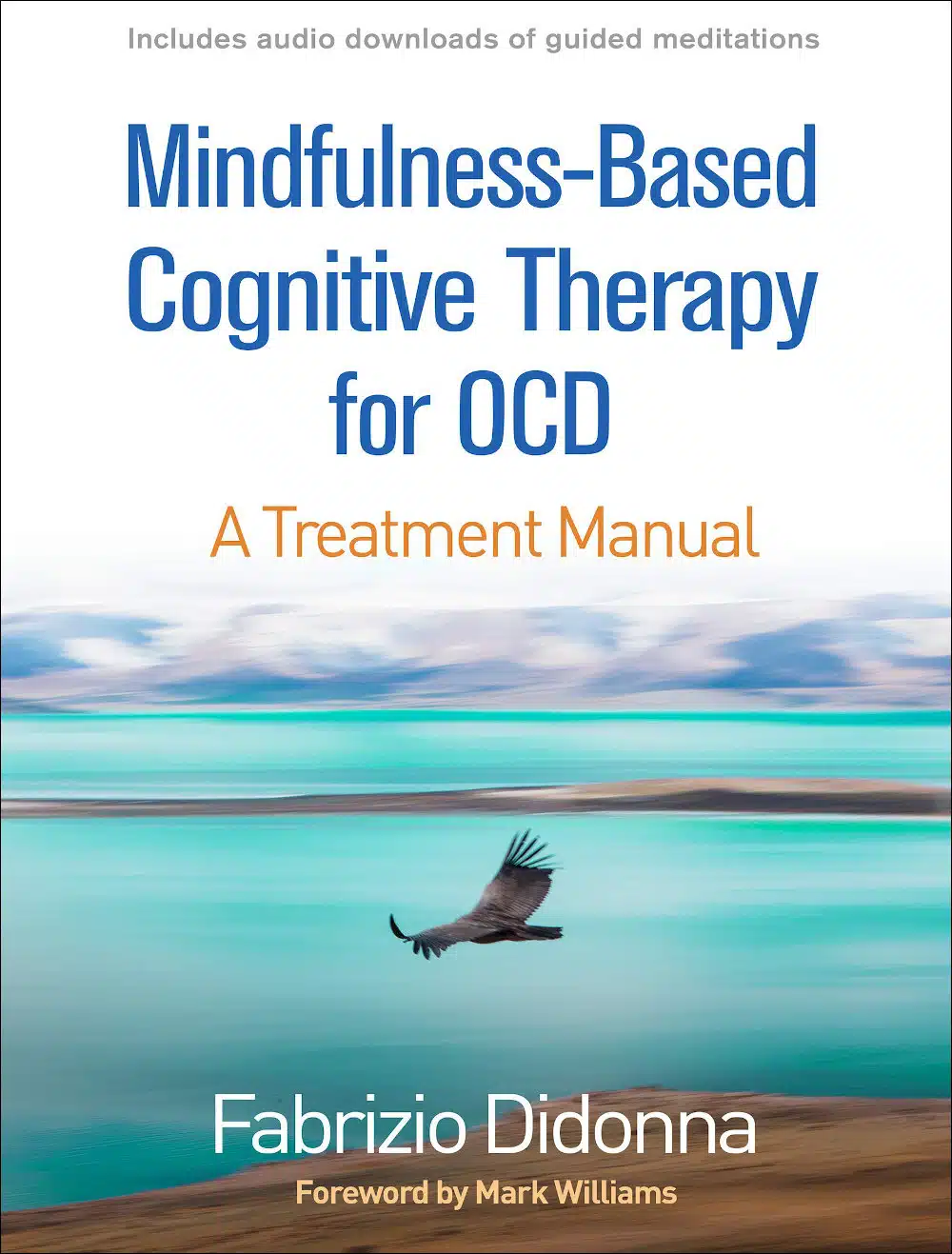 Mindfulness-Based Cognitive-Therapy for OCD (2019) - Recensione