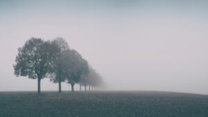 Morte: un processo di cambiamento per l'intero sistema familiare