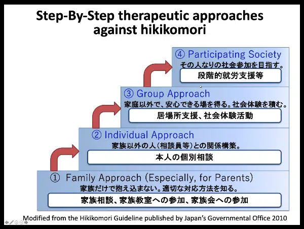 Hikikomori e ritiro sociale assessment e intervento - Report dal webinar imm4