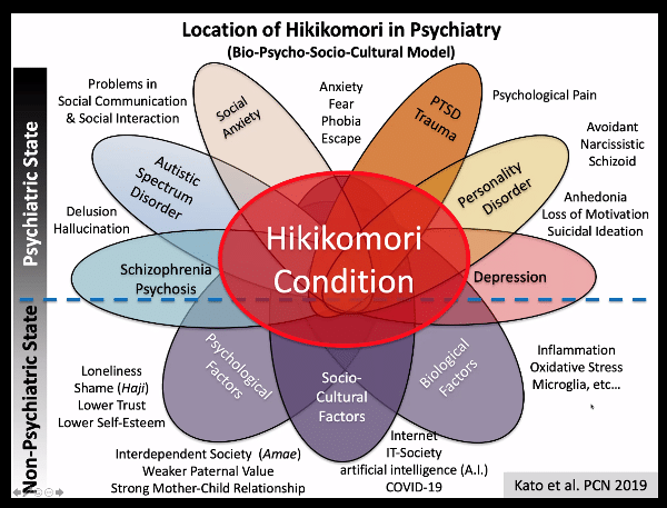 Hikikomori e ritiro sociale assessment e intervento - Report dal webinar imm6