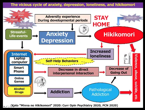 Hikikomori e ritiro sociale assessment e intervento - Report dal webinar imm7