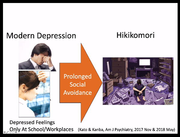Hikikomori e ritiro sociale assessment e intervento - Report dal webinar imm9
