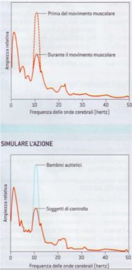 Autismo quale ruolo riveste il sistema dei neuroni specchio Psicologia Fig 2