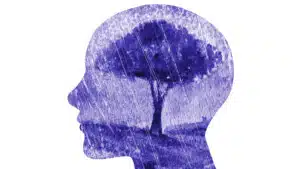 Depressione i meccanismi sottostanti secondo le neuroscienze affettive
