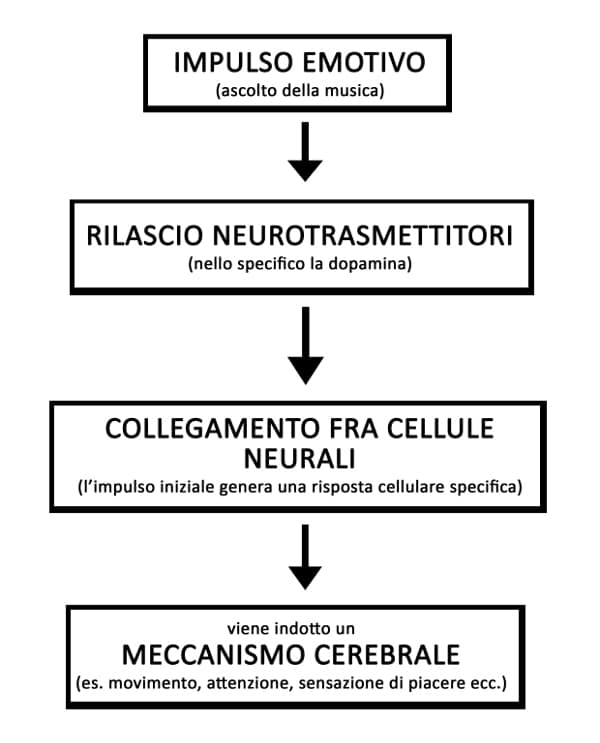 Musica quali sono gli effetti dell ascolto e come reagisce il nostro cervello