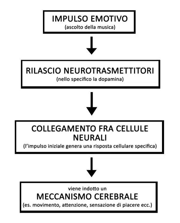 Musica quali sono gli effetti dell ascolto e come reagisce il nostro cervello