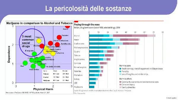 Abuso di sostanze una strategia di regolazione emotiva Report Imm 1