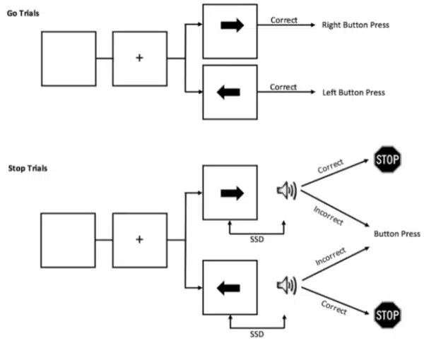 Stop Signal Task un paradigma per indagare l inibizione Psicologia Fig 1