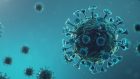 Il danno neurologico e psichiatrico da CoViD-19; uno studio italiano mostra il percorso del virus dal polmone al cervello attraverso il nervo vago