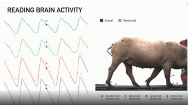 Neuralink e la realizzazione di impianti neuronali negli esseri viventi - IMM.1