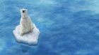 “Ecofenotipo” climatico: quanto è influenzata la nostra salute mentale dai cambiamenti climatici?