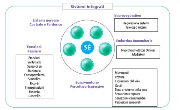 Neo Funzionamento e Neuroscienze integrazione mente corpo Fig 1