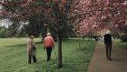 Mens sana in corpore sano: l’effetto benefico dell’irisina muscolare nella malattia di Alzheimer