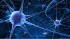 L’organizzazione a network delle aree cerebrali nella malattia di Parkinson