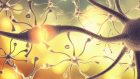 L’utilizzo dei Potenziali Evocati nel dolore e nei disturbi di sensibilità di difficile inquadramento diagnostico