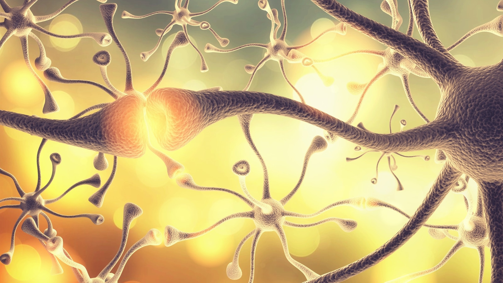 Potenziali evocati: utilizzo nel dolore neuropatico e nei disturbi di sensibilità