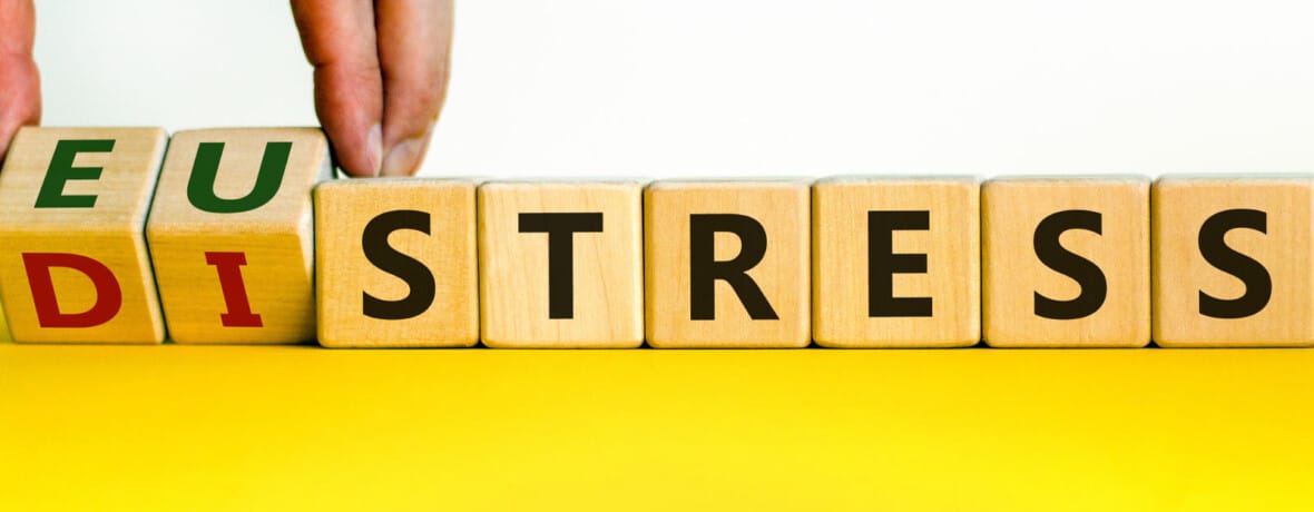 Stress, eustress e distress: verso una maggiore complessità del paradigma