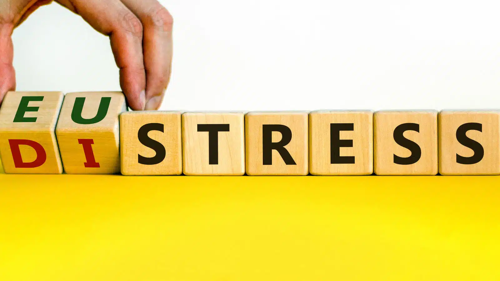 Stress, eustress e distress: verso una maggiore complessità del paradigma