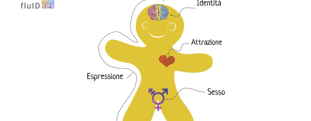 Identità sessuale per principianti e professionisti il Genderbread Person