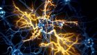 Prioni e malattie neurodegenerative: una panoramica d’insieme