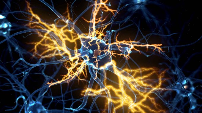 Prioni e malattie neurodegenerative: una panoramica d’insieme