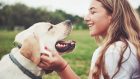 Il cane come catalizzatore sociale e come cura per la depressione