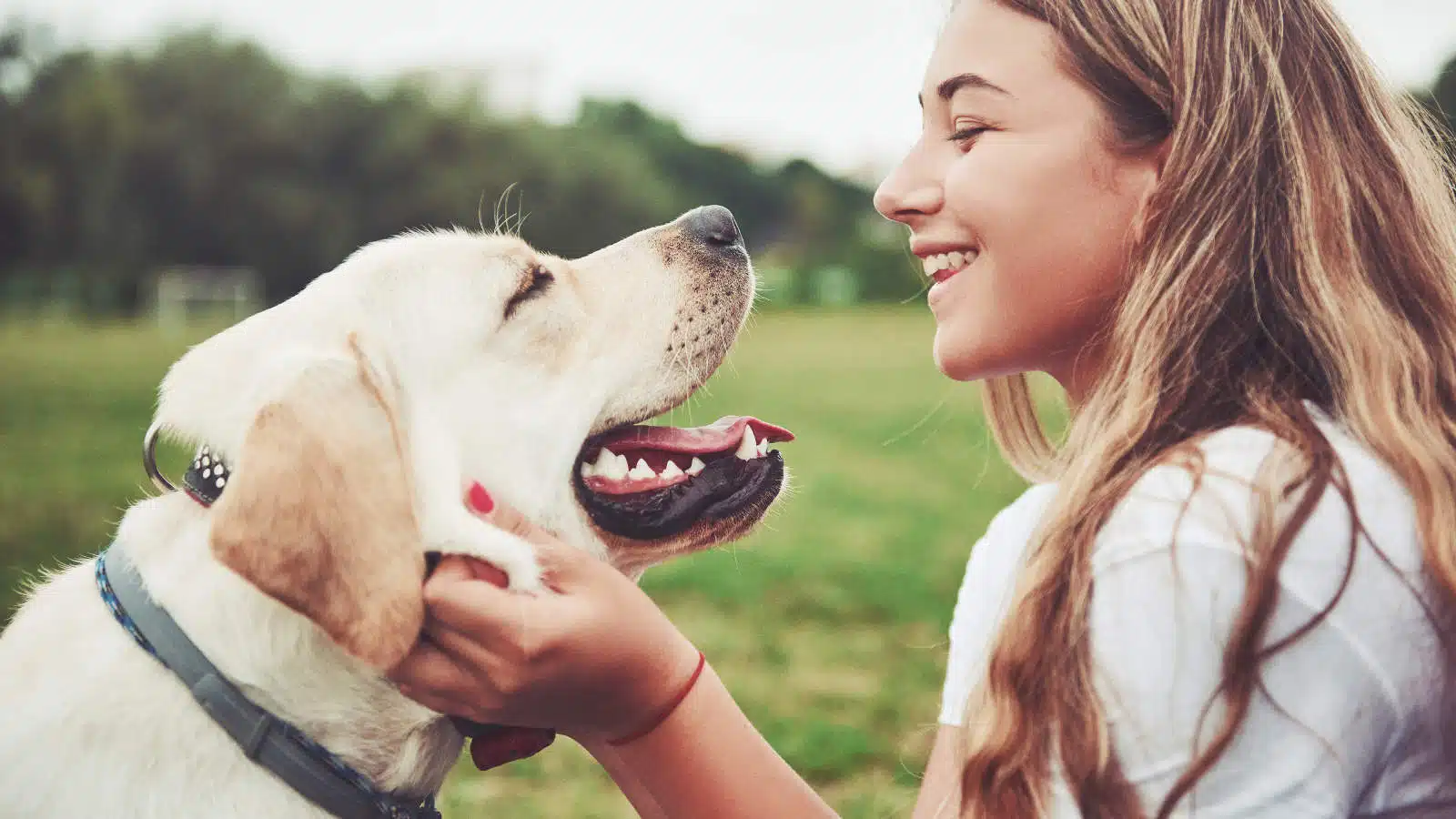Terapia assistita con i cani (DAT): una cura per la depressione