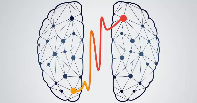 Valutazione e riabilitazione neuropsicologica