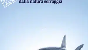 Paura lezioni di sopravvivenza dalla natura selvaggia 2022 Recensione Featured