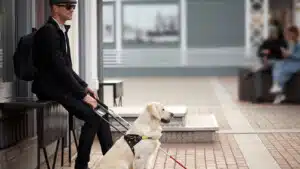 Cani guida per persone con disabilità visiva: l'effetto della separazione