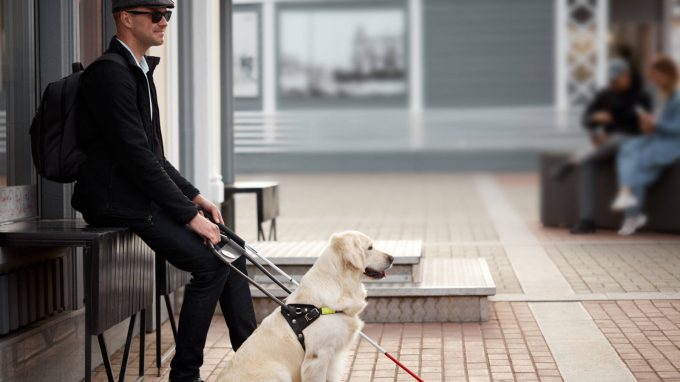 Le conseguenze della separazione dal proprio cane guida per una persona con disabilità visiva