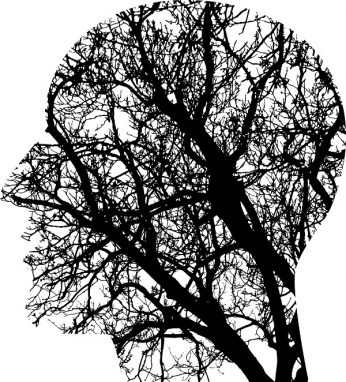Il cervello ha una mente propria 2022 di J Holmes Recensione del libro Imm 2
