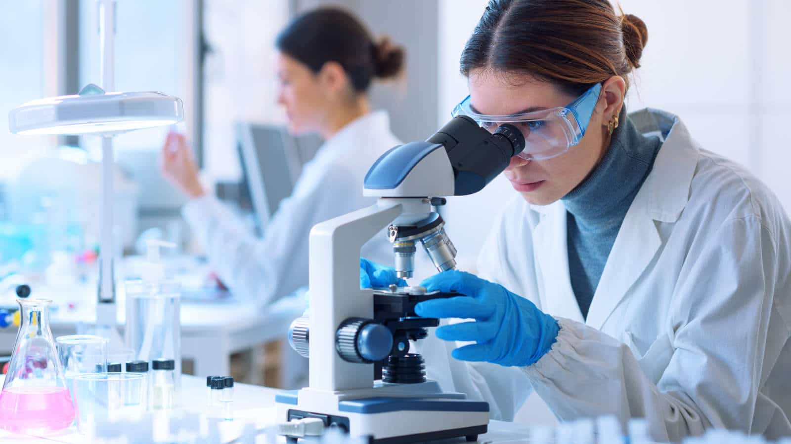Metodi alternativi alla sperimentazione animale: lo stato dell'arte