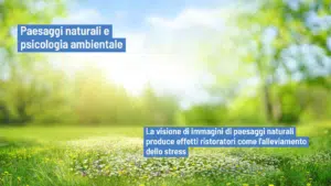 Paesaggi naturali e psicologia ambientale: effetti positivi sullo stress