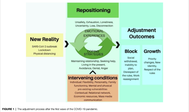Imm. 1 – Il processo di adattamento dopo la prima ondata della pandemia da Covid-19 - Lamiani G. et al. (2022) 