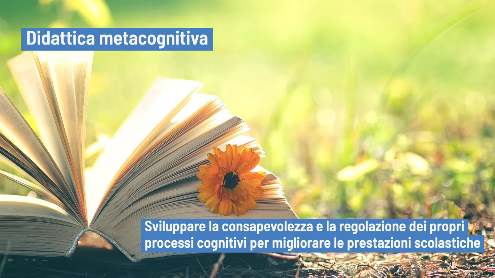 Didattica metacognitiva strategie metacognitive e loro utilizzo in classe