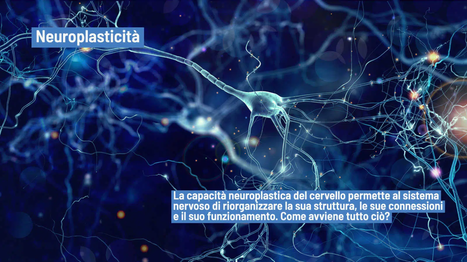 Neuroplasticità: la capacità del nostro cervello di modificarsi