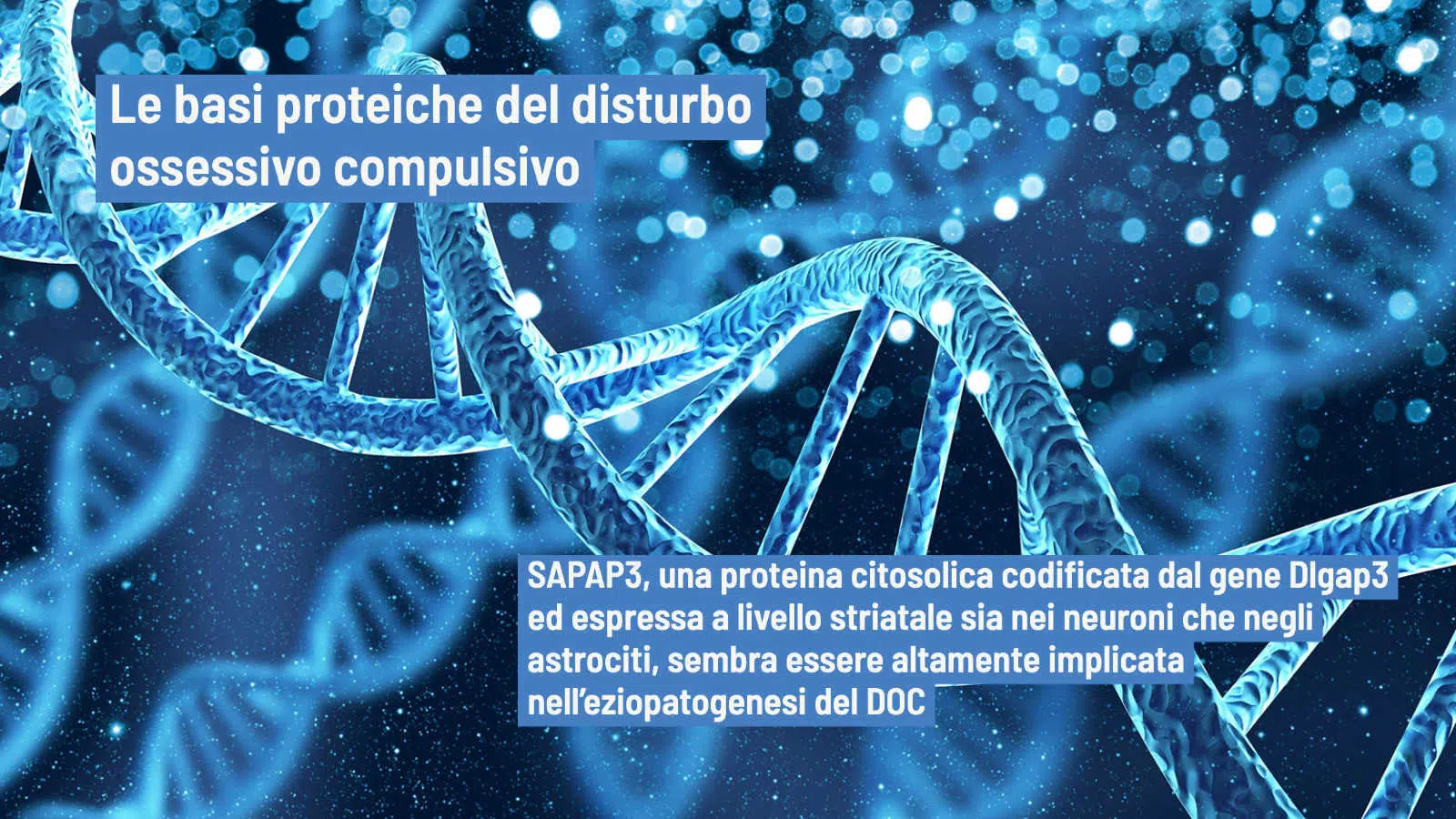 Disturbo ossessivo compulsivo (DOC): le basi proteiche