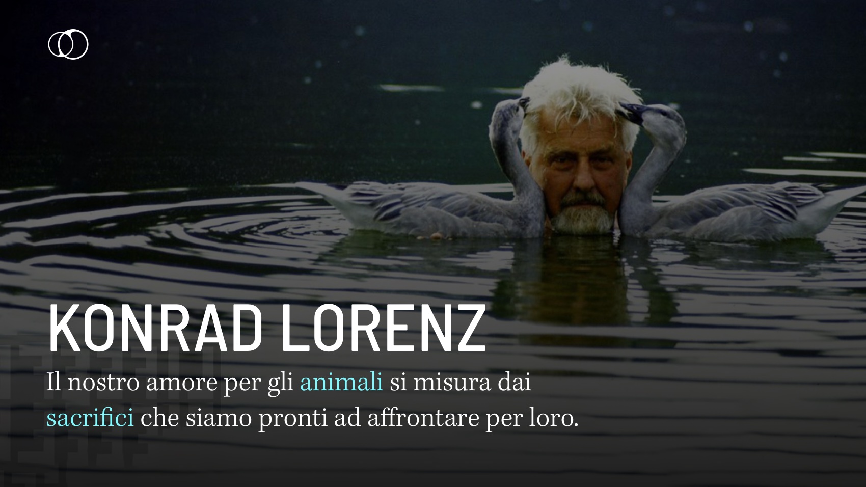 Konrad Lorenz Ne E Considerato Il Padre