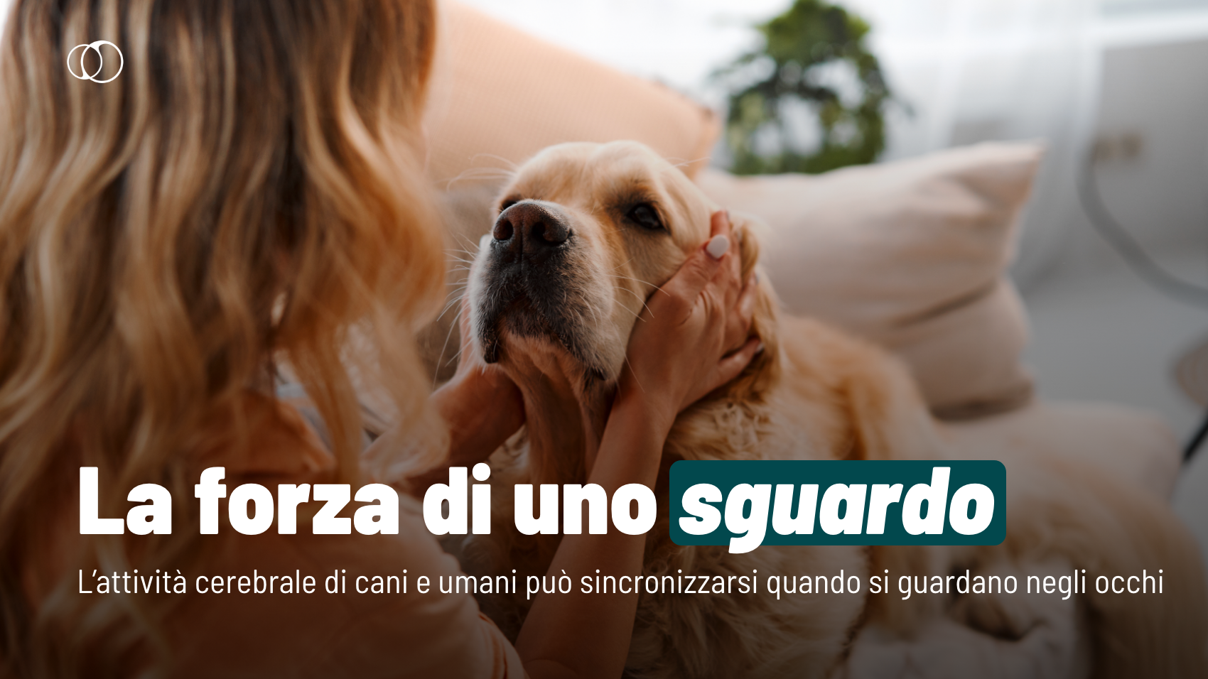 sesso tra donne e cani
